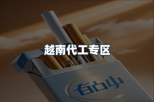 越南代工专区